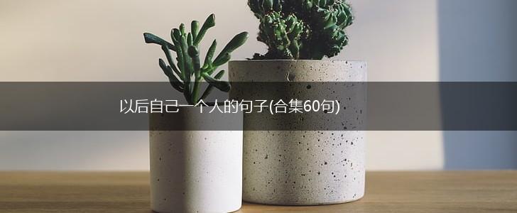 以后自己一个人的句子(合集60句),第1张