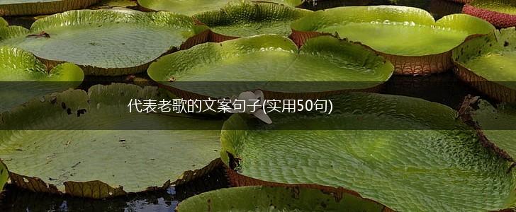代表老歌的文案句子(实用50句),第1张