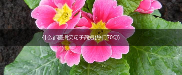 什么都懂搞笑句子简短(热门70句),第1张