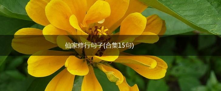 仙家修行句子(合集15句),第1张