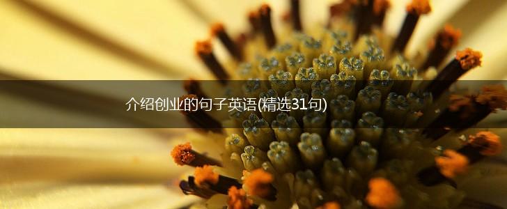 介绍创业的句子英语(精选31句),第1张