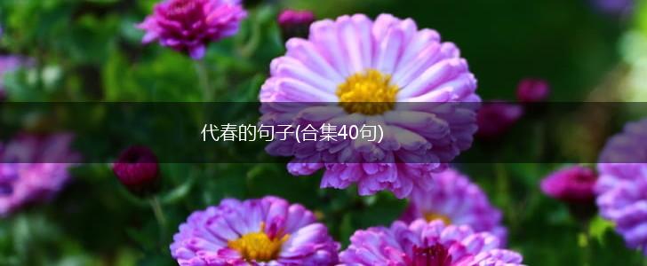 代春的句子(合集40句),第1张
