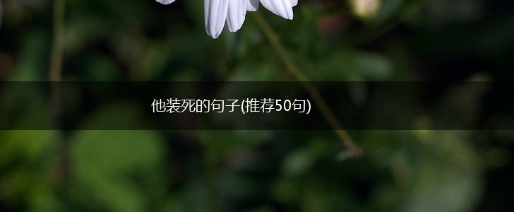 他装死的句子(推荐50句),第1张