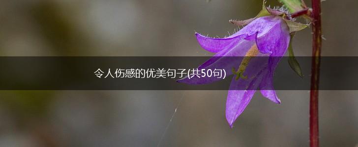 令人伤感的优美句子(共50句),第1张