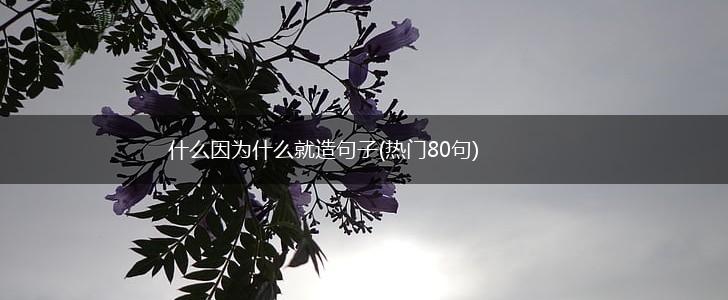 什么因为什么就造句子(热门80句),第1张