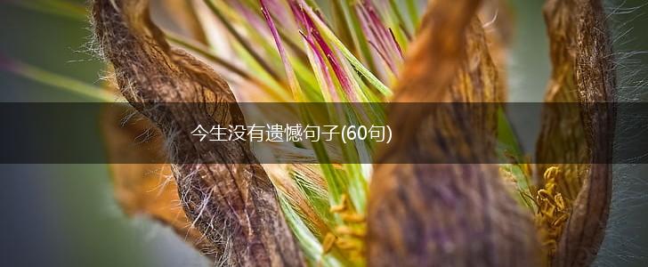 今生没有遗憾句子(60句),第1张 今生没有遗憾句子(60句),第1张