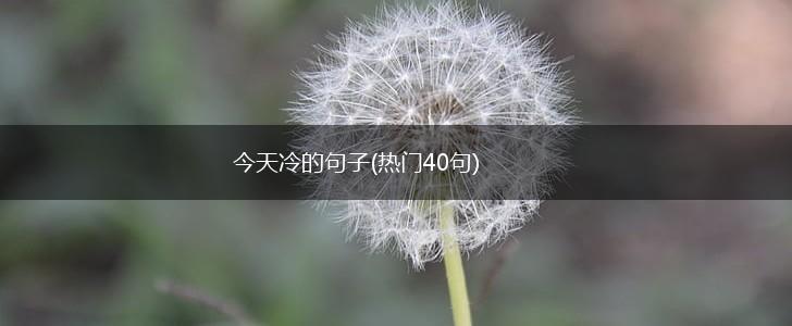 今天冷的句子(热门40句),第1张