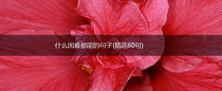 什么困难都能的句子(精选60句),第1张