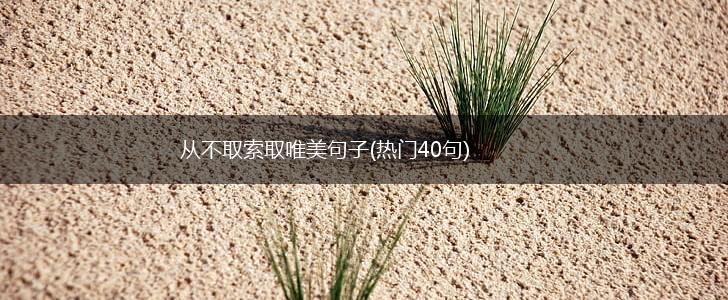 从不取索取唯美句子(热门40句),第1张