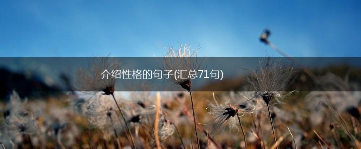 介绍性格的句子(汇总71句),第1张