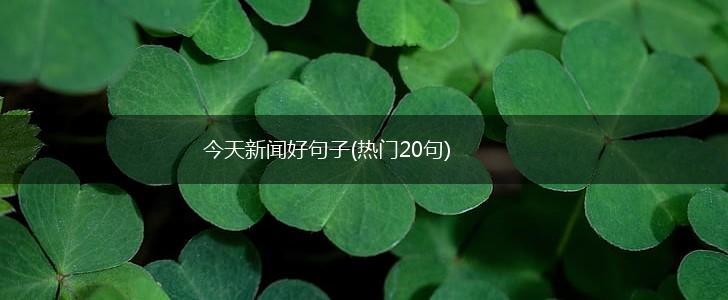 今天新闻好句子(热门20句),第1张
