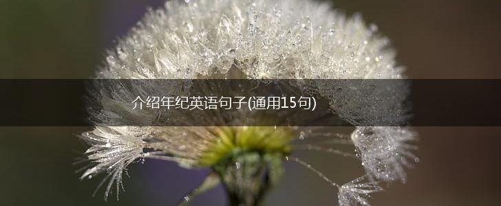 介绍年纪英语句子(通用15句),第1张
