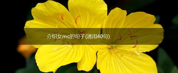 介绍女mc的句子(通用40句),第1张