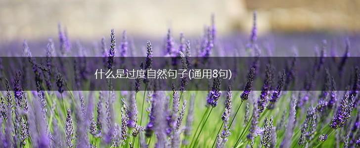 什么是过度自然句子(通用8句),第1张