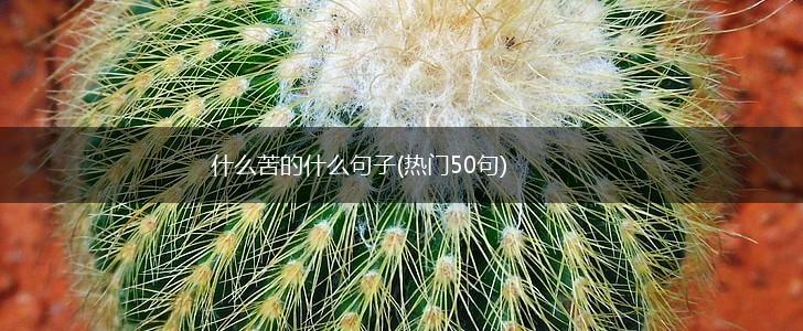 什么苦的什么句子(热门50句),第1张