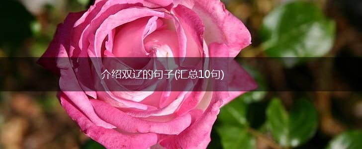 介绍双辽的句子(汇总10句),第1张