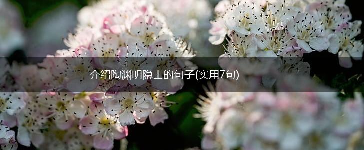 介绍陶渊明隐士的句子(实用7句),第1张