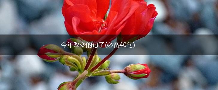 今年改变的句子(必备40句),第1张