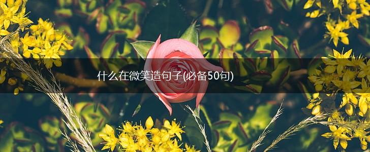 什么在微笑造句子(必备50句),第1张 什么在微笑造句子(必备50句),第1张