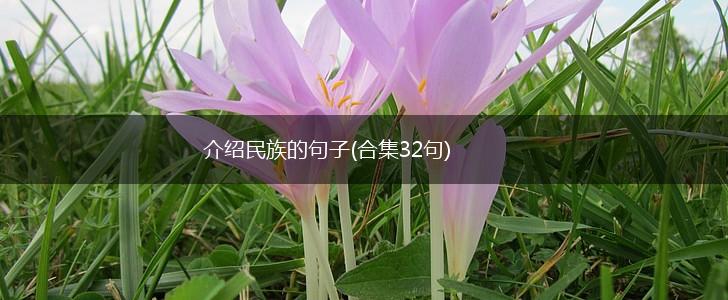 介绍民族的句子(合集32句),第1张