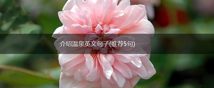 介绍温泉英文句子(推荐5句),第1张