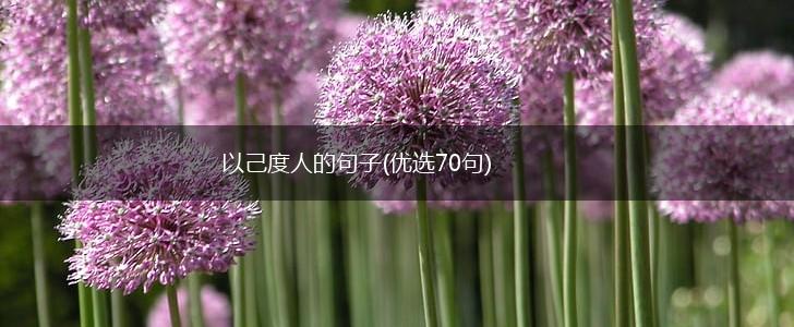 以己度人的句子(优选70句),第1张