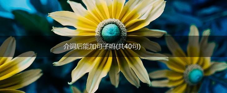 介词后能加句子吗(共40句),第1张
