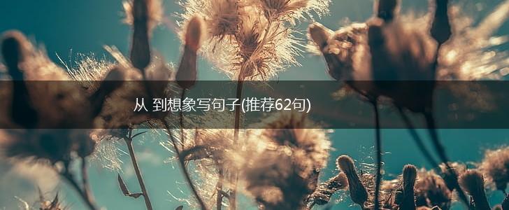 从 到想象写句子(推荐62句),第1张