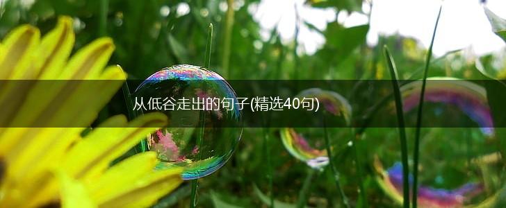 从低谷走出的句子(精选40句),第1张