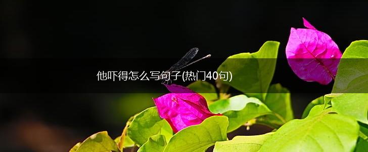他吓得怎么写句子(热门40句),第1张