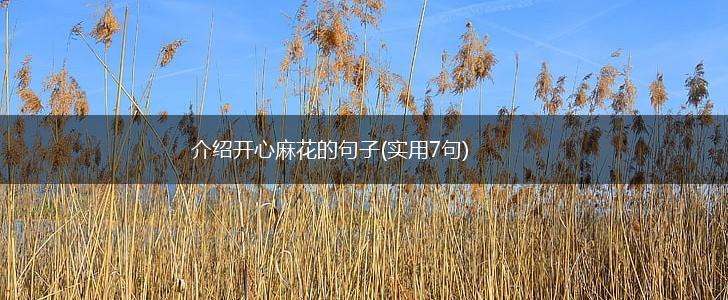 介绍开心麻花的句子(实用7句),第1张