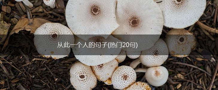 从此一个人的句子(热门20句),第1张