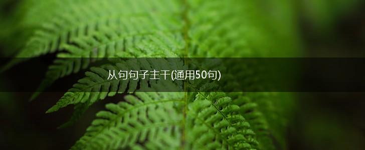 从句句子主干(通用50句),第1张