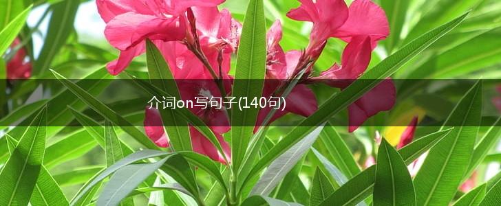 介词on写句子(140句),第1张