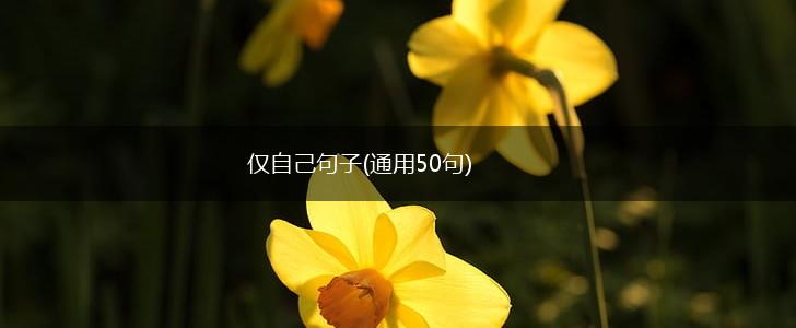 仅自己句子(通用50句),第1张