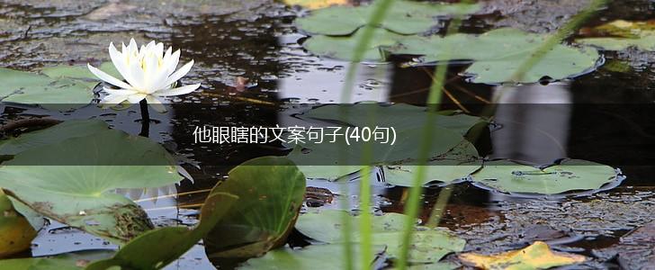 他眼瞎的文案句子(40句),第1张