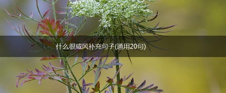 什么很威风补充句子(通用20句),第1张 什么很威风补充句子(通用20句),第1张