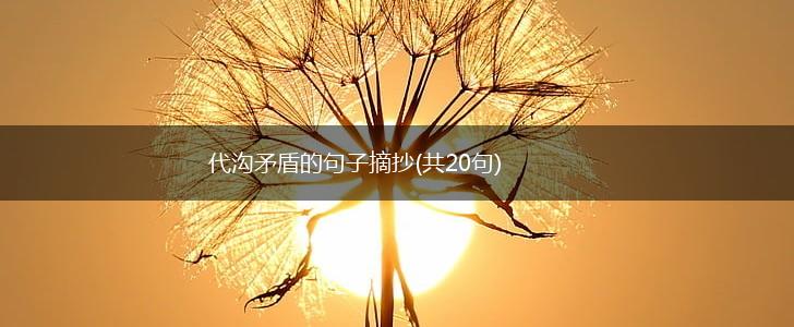 代沟矛盾的句子摘抄(共20句),第1张