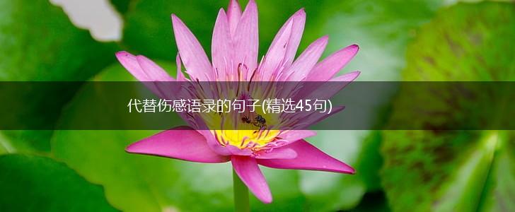 代替伤感语录的句子(精选45句),第1张