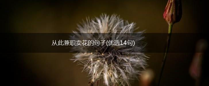 从此兼职卖花的句子(优选14句),第1张