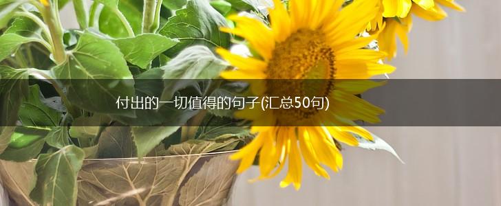 付出的一切值得的句子(汇总50句),第1张