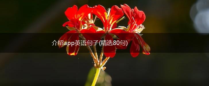 介绍app英语句子(精选80句),第1张
