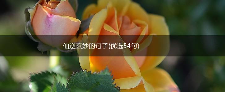 仙逆玄妙的句子(优选54句),第1张