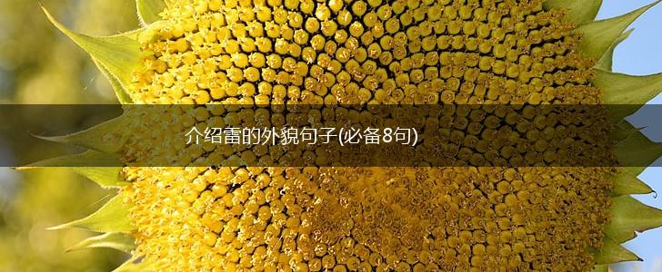 介绍雷的外貌句子(必备8句),第1张