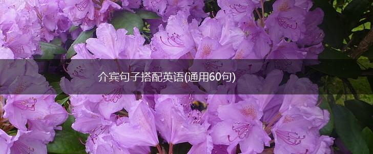 介宾句子搭配英语(通用60句),第1张