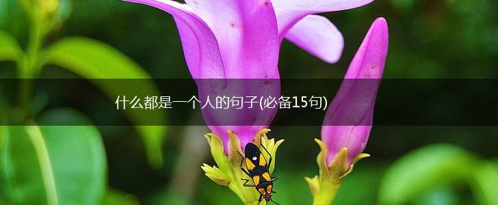 什么都是一个人的句子(必备15句),第1张