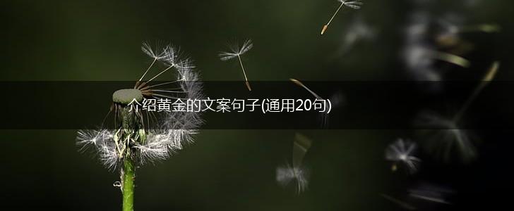 介绍黄金的文案句子(通用20句),第1张