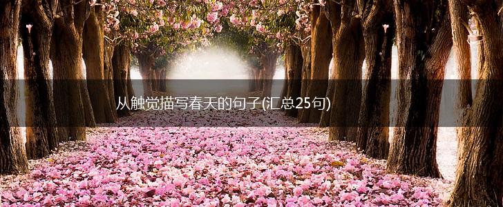 从触觉描写春天的句子(汇总25句),第1张