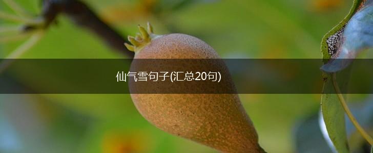 仙气雪句子(汇总20句),第1张