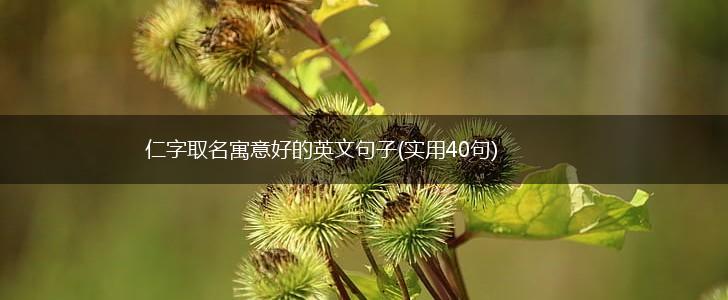 仁字取名寓意好的英文句子(实用40句),第1张
